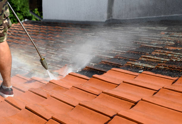 Best House Pressure Washing  in Redland, AL