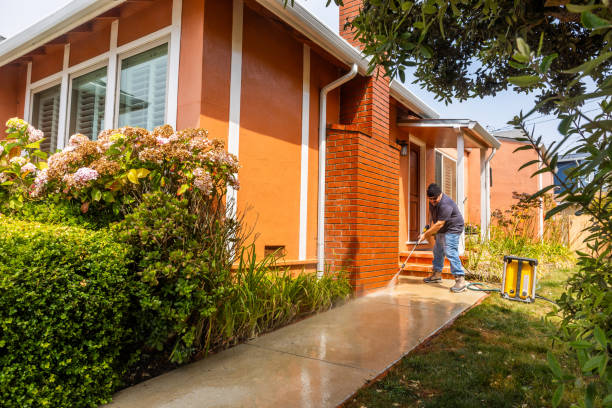 Best Pressure Washing Driveway  in Redland, AL